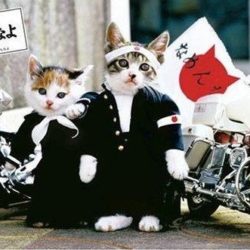 家事が大好き！？